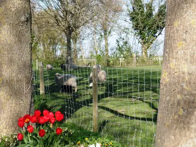 Bild 10