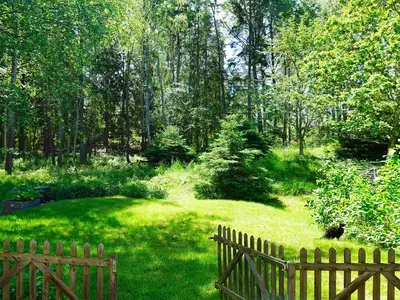 Outdoor
