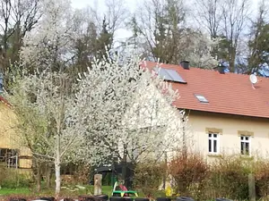 Ferienhaus für 8 Personen (200 m²) in Bruck i.d. OPf.