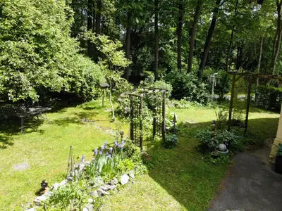 Garten mit alten Obstbäumen und vielen Rosen