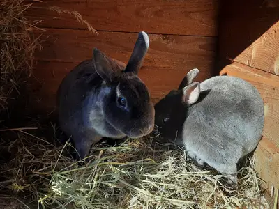 Tom und Julia