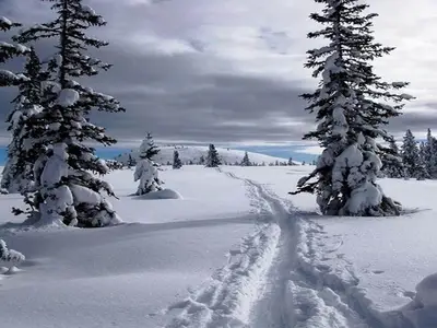 AreaWinter1KM