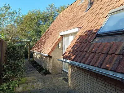 ExteriorSummer