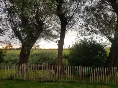 AreaSummer1KM