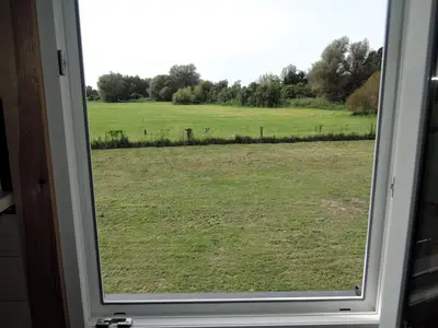 ViewSummer