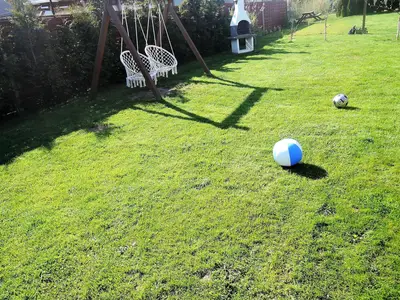 GardenSummer