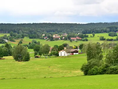 ViewSummer