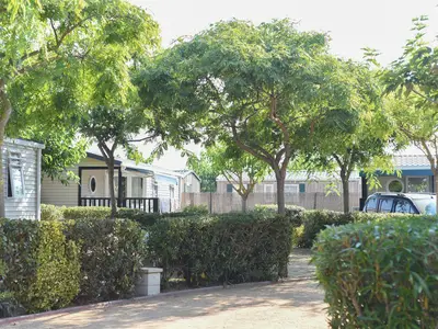 GardenSummer