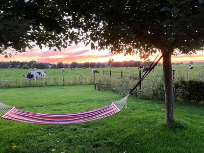 ExteriorSummer