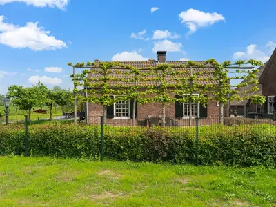 GardenSummer