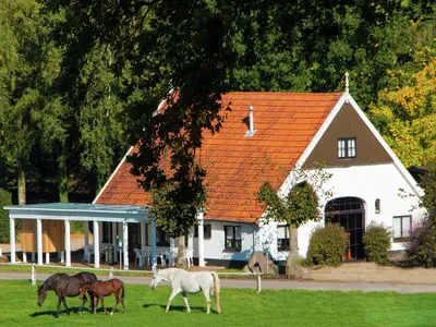 HallReception