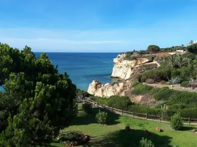 ViewSummer