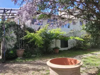 ExteriorSummer