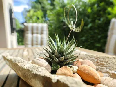Outdoor