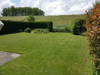 ViewSummer