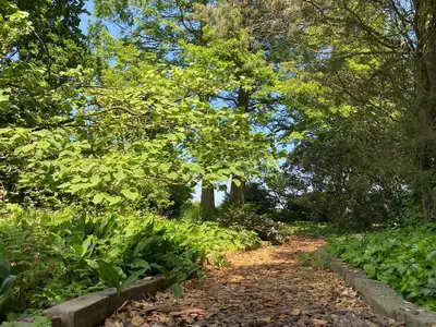 ExteriorSummer