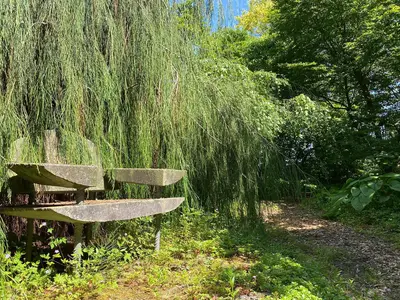 ExteriorSummer