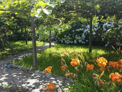 GardenSummer