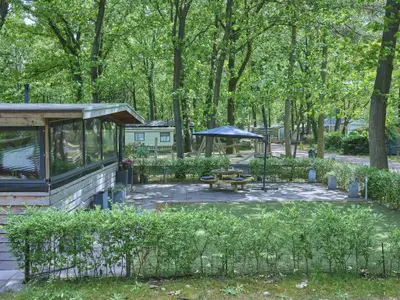 Garten [Sommer]