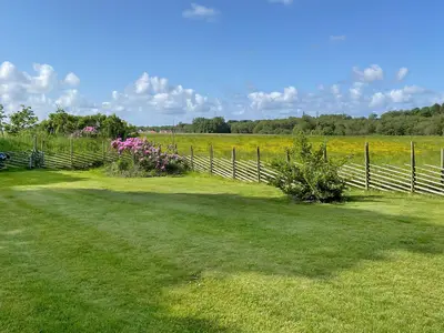 outside