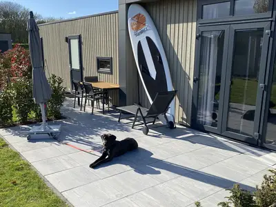 Ferienhaus für 4 Personen (60 m²) in Gemeente Enkhuizen 5/10