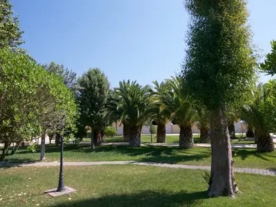 GardenSummer