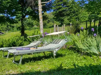 Garten Garten