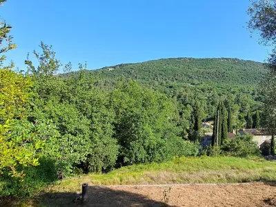Bild 10