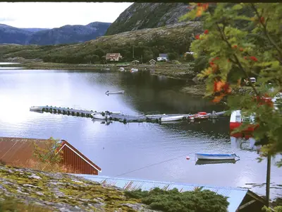 View