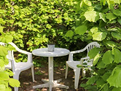Outdoor