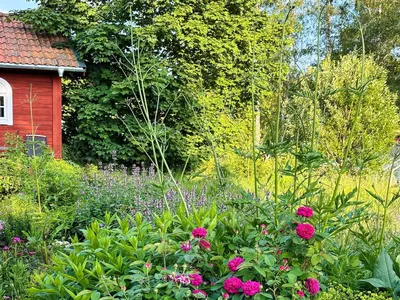 Outdoor