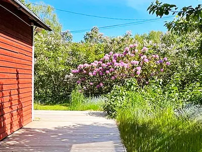 Outdoor