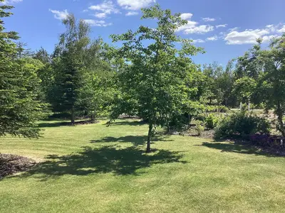 Outdoor