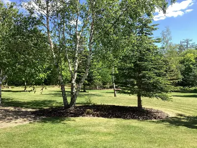 Outdoor