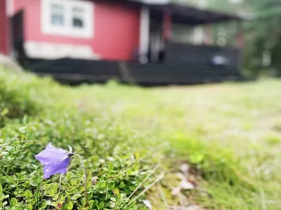 Outdoor