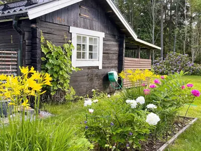 Outdoor