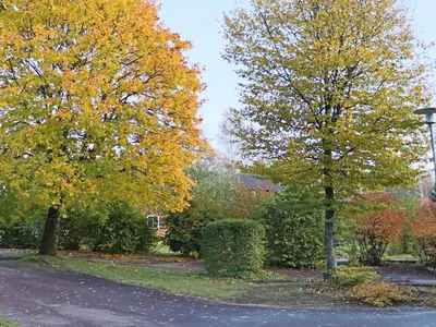 Outdoor