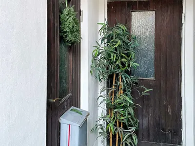 Outdoor