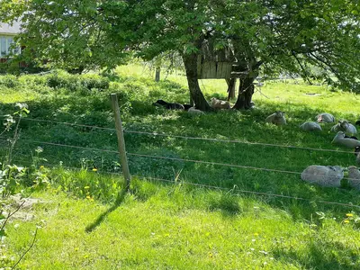 Outdoor