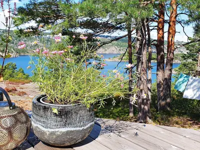 Outdoor