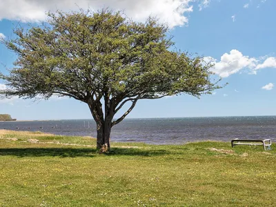 WaterView