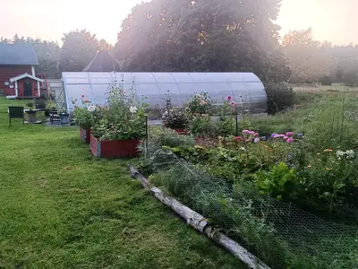 Outdoor