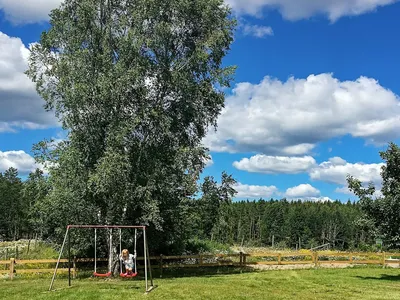 Outdoor