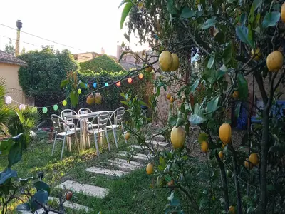 GardenSummer