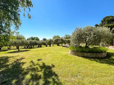 outside