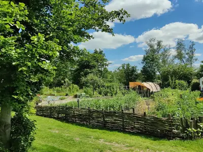 GardenSummer