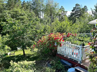 Outdoor