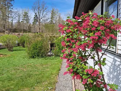 Vorderseite des Hauses. Etwas versteckt im Hintergrund ist der Freisitz /Terrasse vor dem Haus