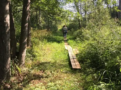Outdoor