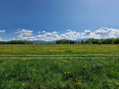 view-from-room
